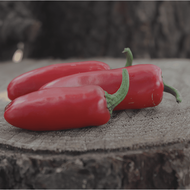 Early Jalapeño